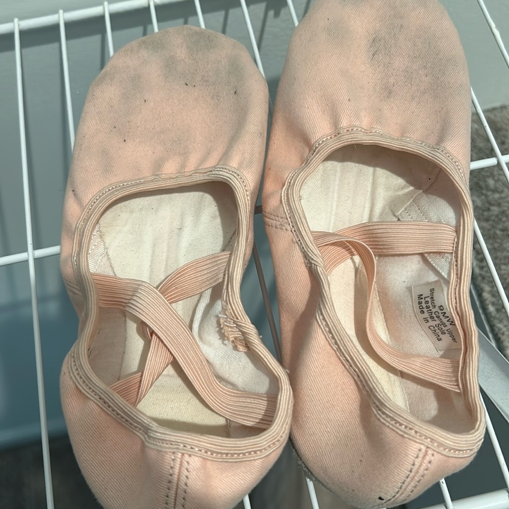 Stellar Stretch Canvas Ballet Slippers